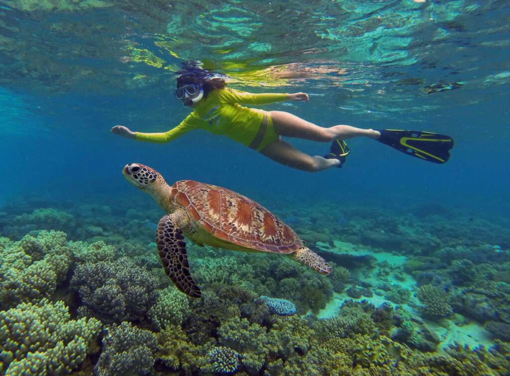 6.Great Barrier Reef - 12 Natural Wonders of the World Our planet